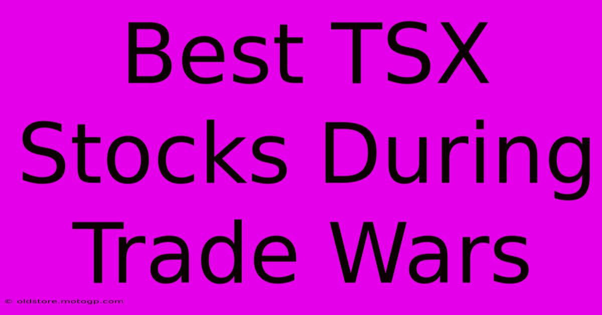 Best TSX Stocks During Trade Wars