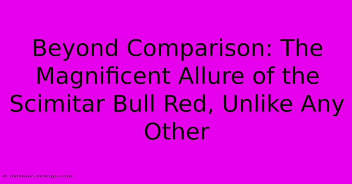 Beyond Comparison: The Magnificent Allure Of The Scimitar Bull Red, Unlike Any Other