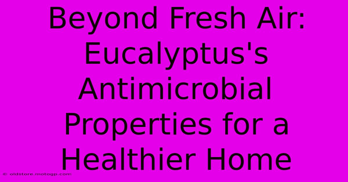 Beyond Fresh Air: Eucalyptus's Antimicrobial Properties For A Healthier Home