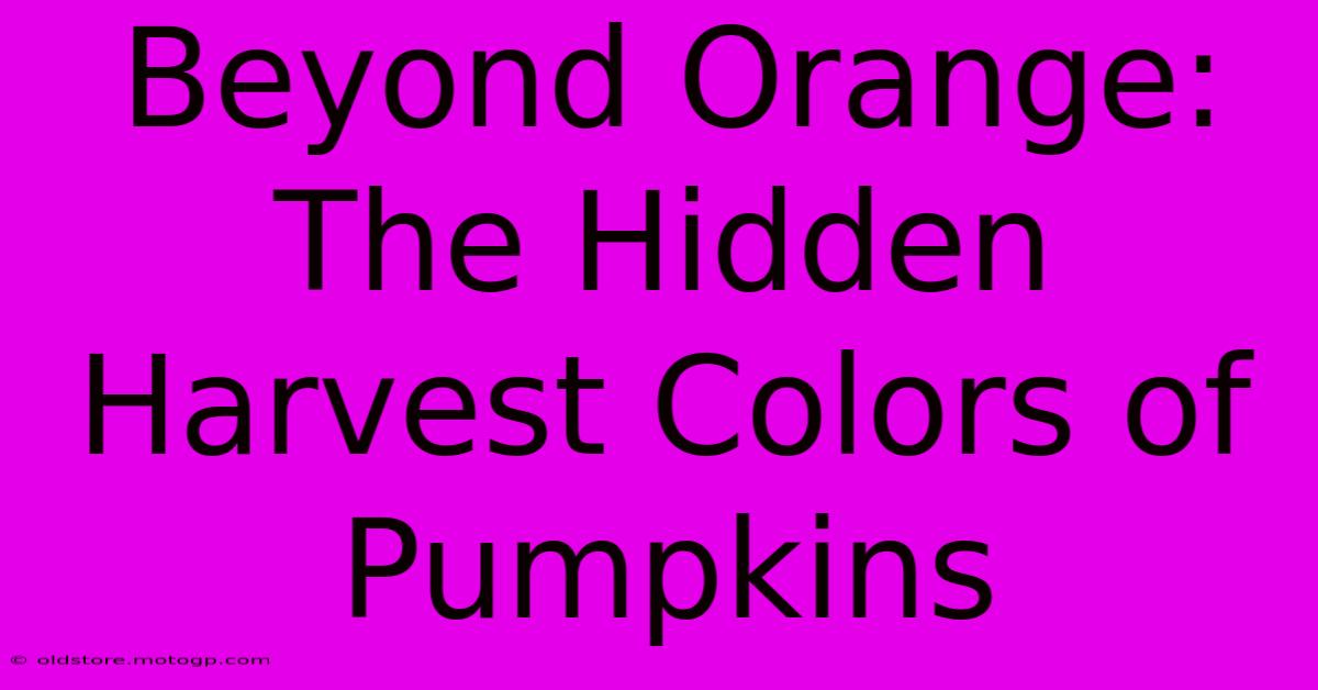 Beyond Orange: The Hidden Harvest Colors Of Pumpkins