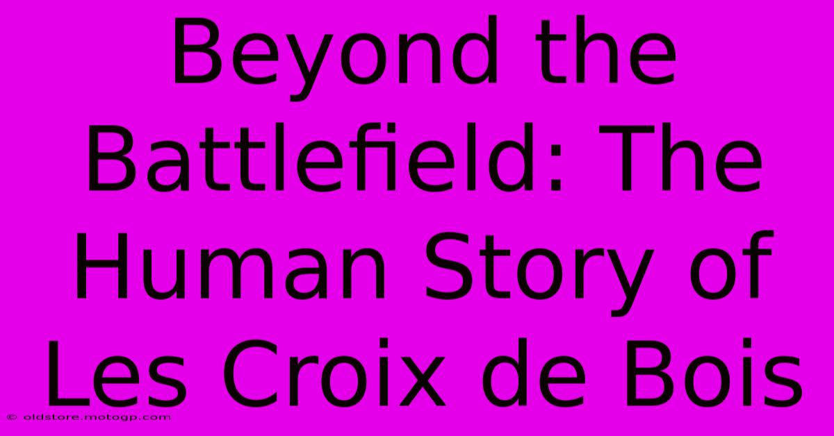 Beyond The Battlefield: The Human Story Of Les Croix De Bois