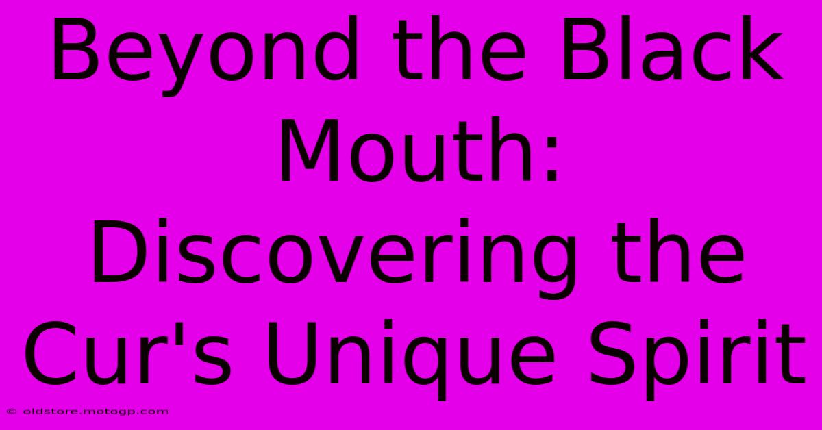 Beyond The Black Mouth: Discovering The Cur's Unique Spirit