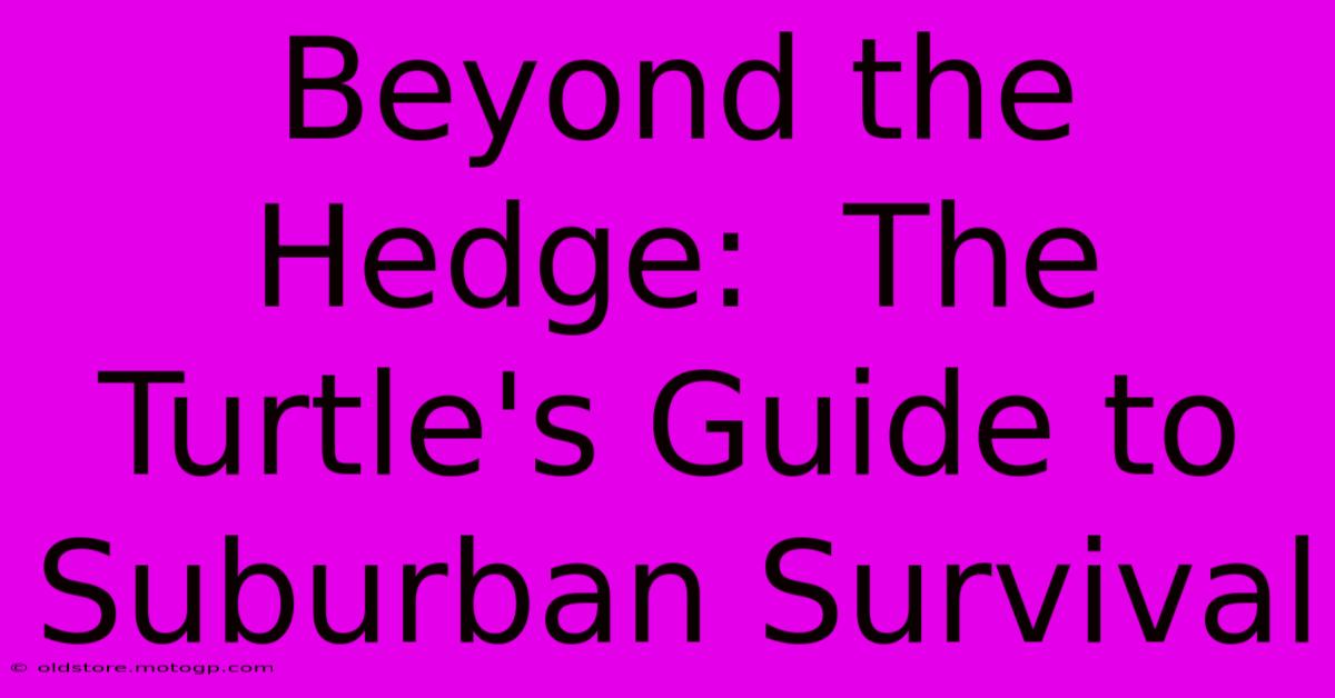 Beyond The Hedge:  The Turtle's Guide To Suburban Survival