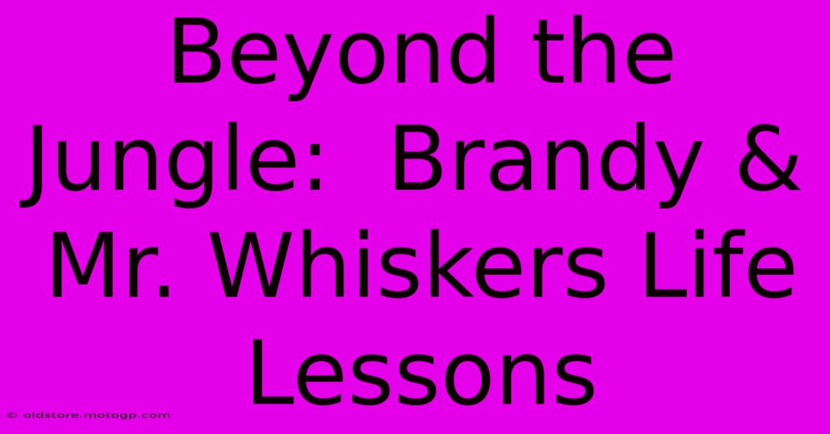 Beyond The Jungle:  Brandy & Mr. Whiskers Life Lessons