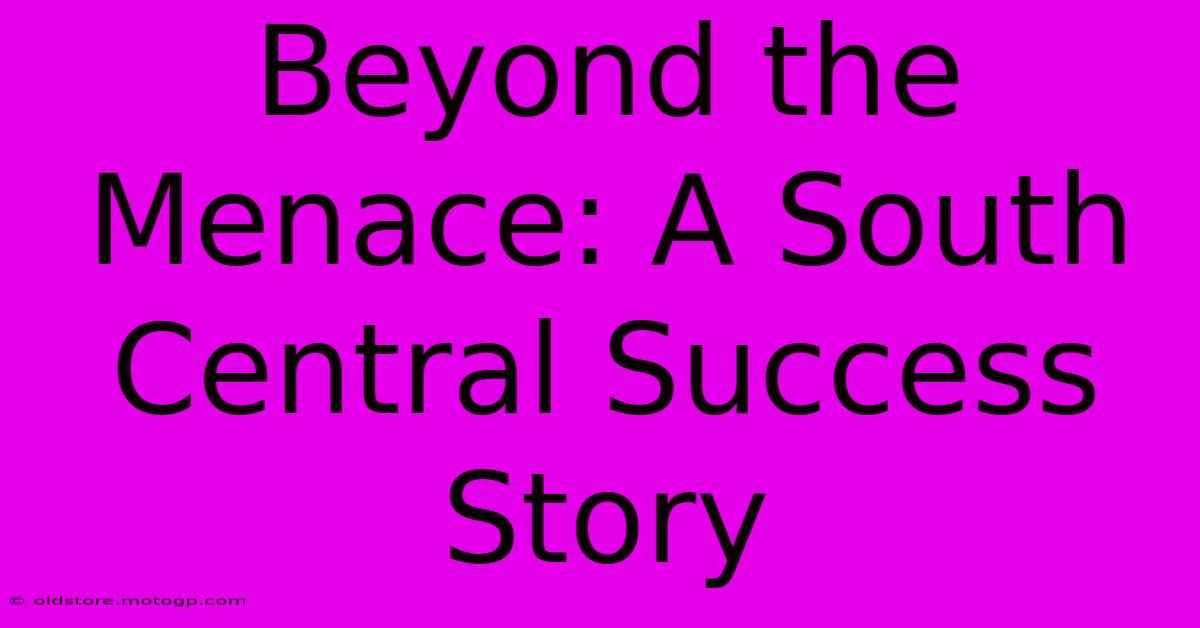 Beyond The Menace: A South Central Success Story