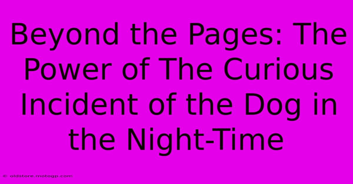 Beyond The Pages: The Power Of The Curious Incident Of The Dog In The Night-Time