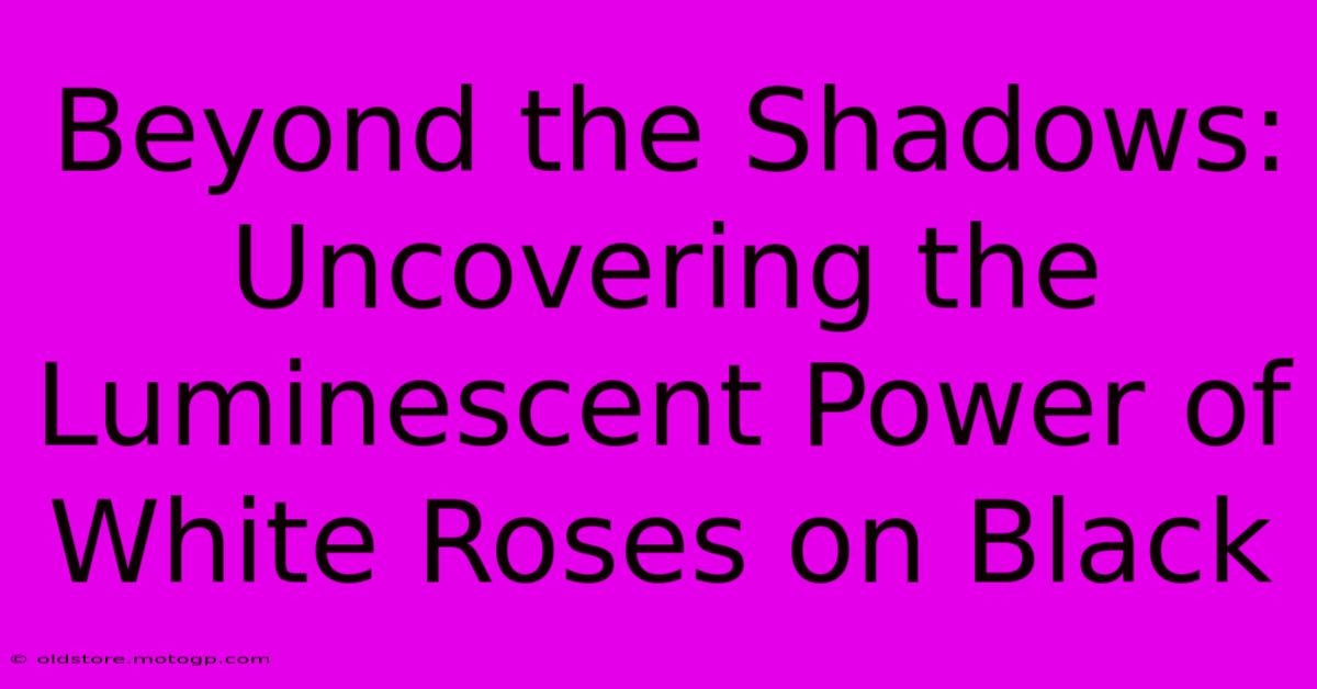 Beyond The Shadows: Uncovering The Luminescent Power Of White Roses On Black