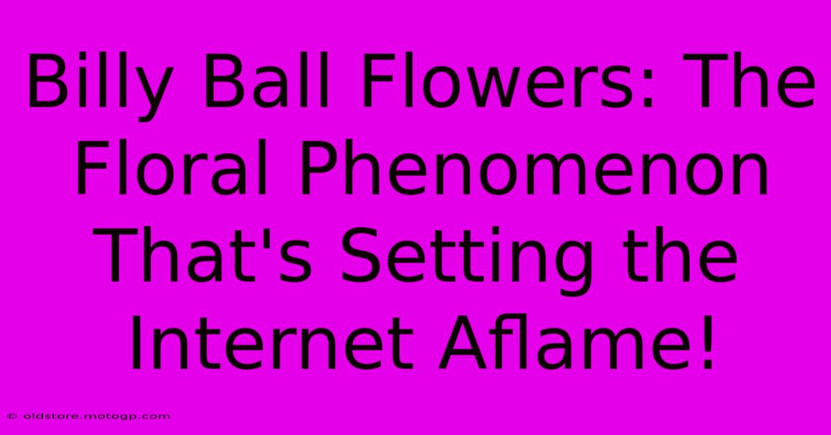 Billy Ball Flowers: The Floral Phenomenon That's Setting The Internet Aflame!