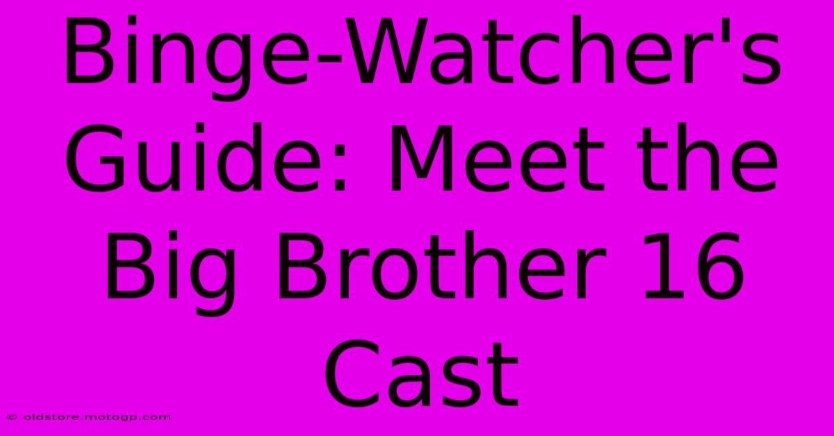 Binge-Watcher's Guide: Meet The Big Brother 16 Cast