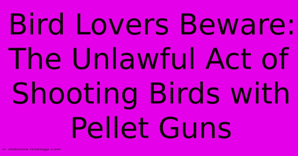 Bird Lovers Beware: The Unlawful Act Of Shooting Birds With Pellet Guns