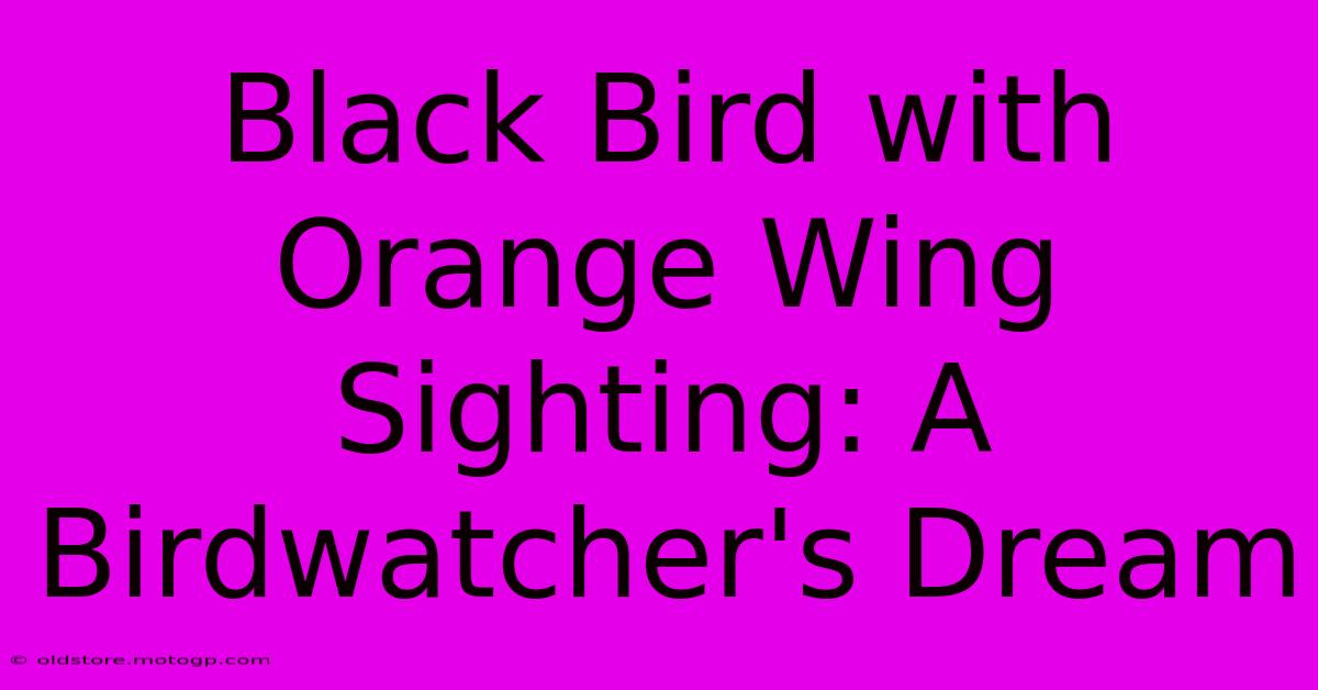 Black Bird With Orange Wing Sighting: A Birdwatcher's Dream