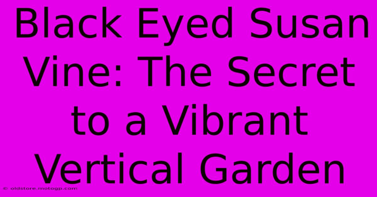 Black Eyed Susan Vine: The Secret To A Vibrant Vertical Garden