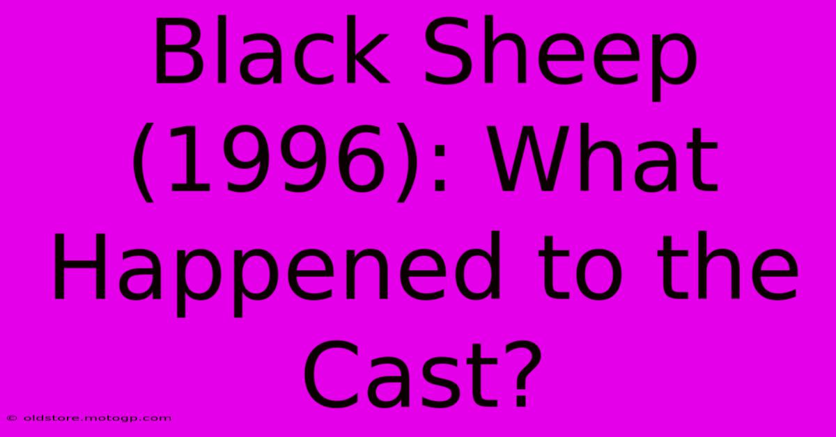 Black Sheep (1996): What Happened To The Cast?