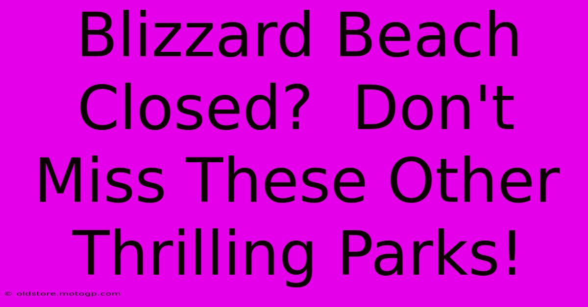 Blizzard Beach Closed?  Don't Miss These Other Thrilling Parks!