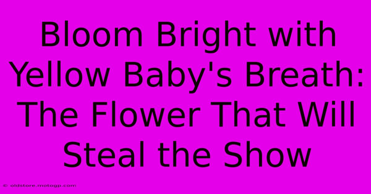 Bloom Bright With Yellow Baby's Breath: The Flower That Will Steal The Show