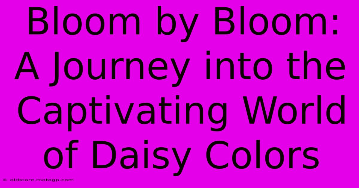 Bloom By Bloom: A Journey Into The Captivating World Of Daisy Colors