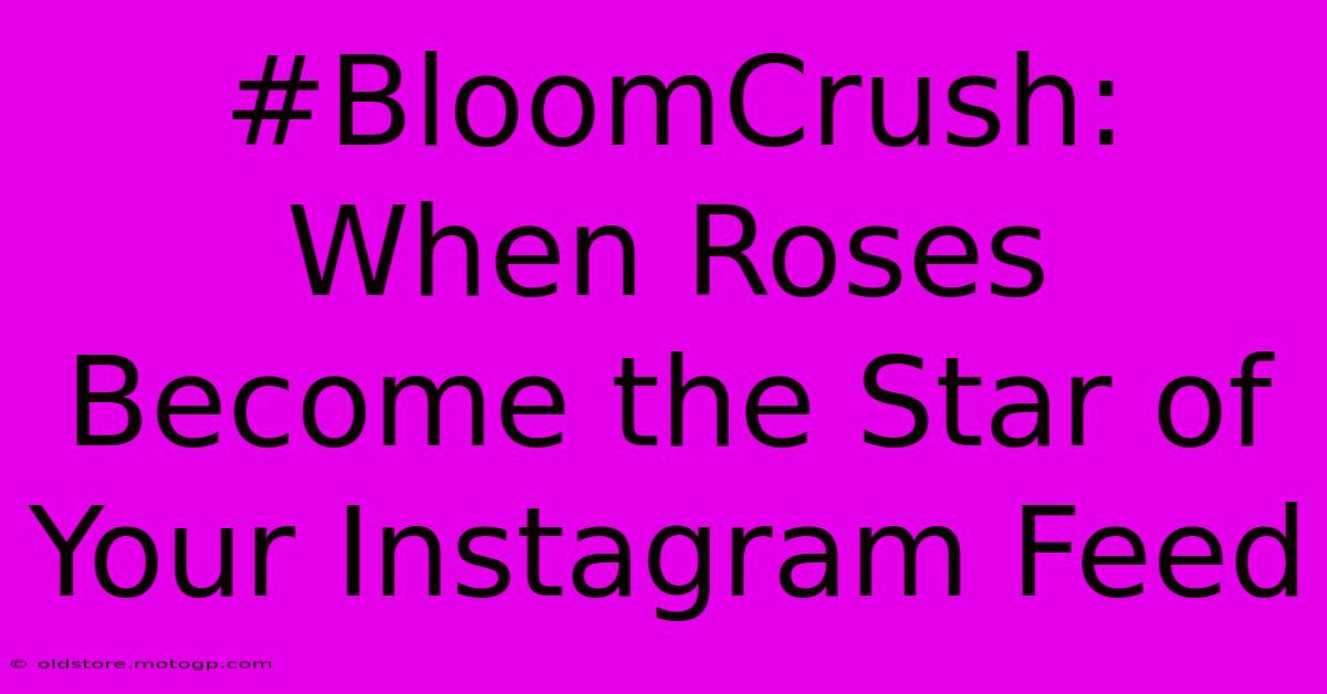 #BloomCrush: When Roses Become The Star Of Your Instagram Feed