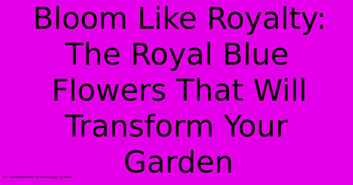 Bloom Like Royalty: The Royal Blue Flowers That Will Transform Your Garden