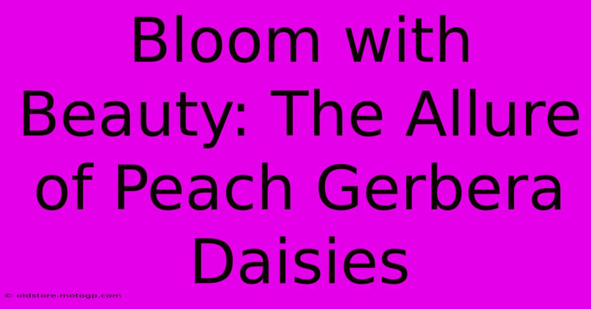 Bloom With Beauty: The Allure Of Peach Gerbera Daisies