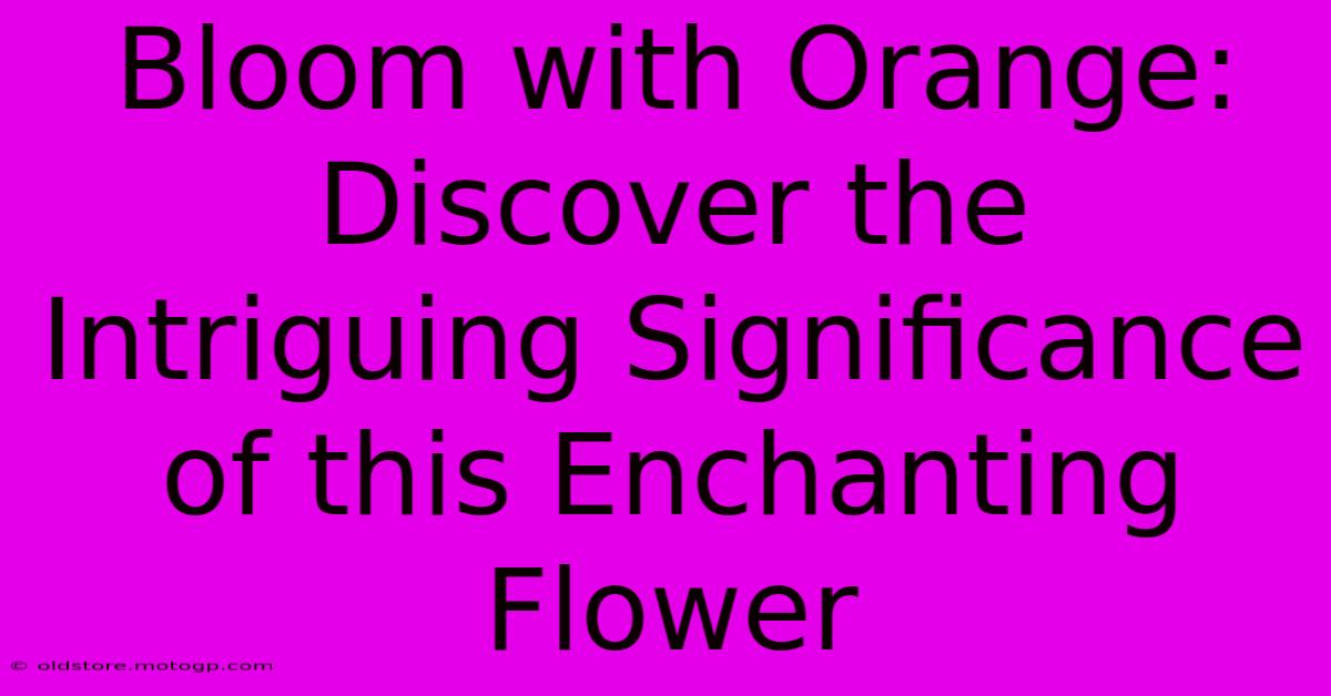 Bloom With Orange: Discover The Intriguing Significance Of This Enchanting Flower