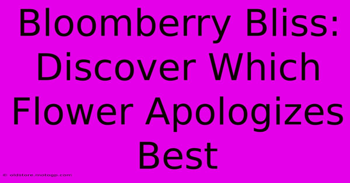 Bloomberry Bliss: Discover Which Flower Apologizes Best