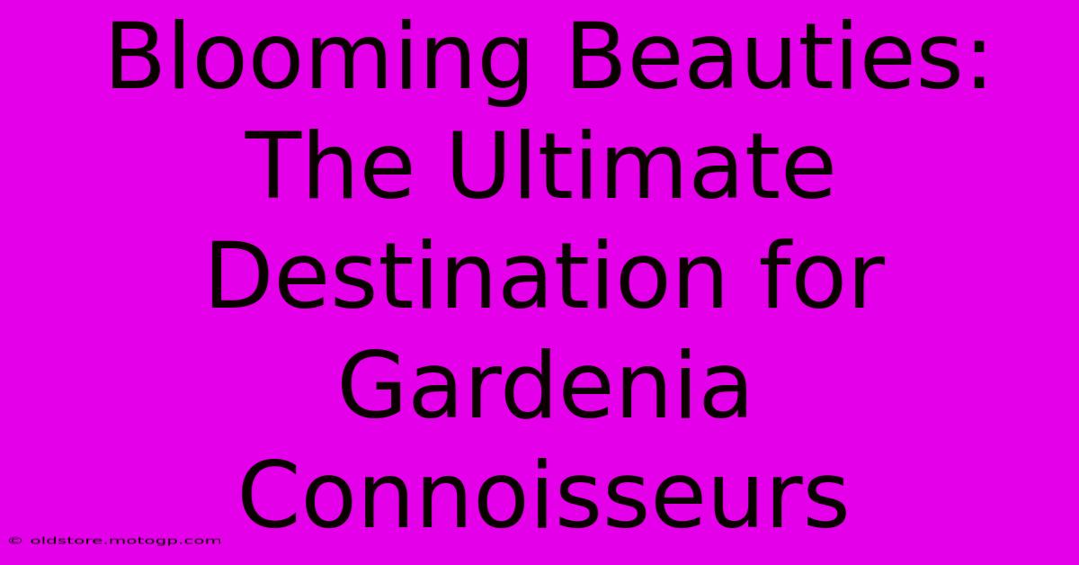 Blooming Beauties: The Ultimate Destination For Gardenia Connoisseurs