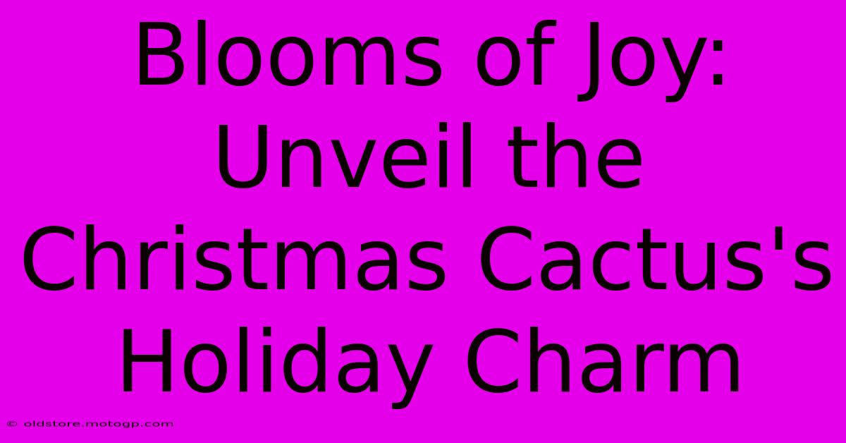 Blooms Of Joy: Unveil The Christmas Cactus's Holiday Charm