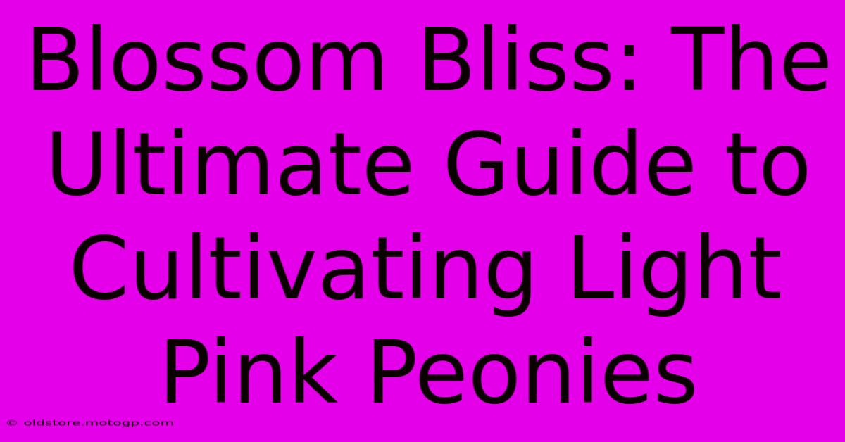 Blossom Bliss: The Ultimate Guide To Cultivating Light Pink Peonies