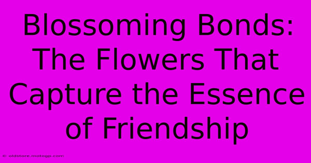 Blossoming Bonds: The Flowers That Capture The Essence Of Friendship