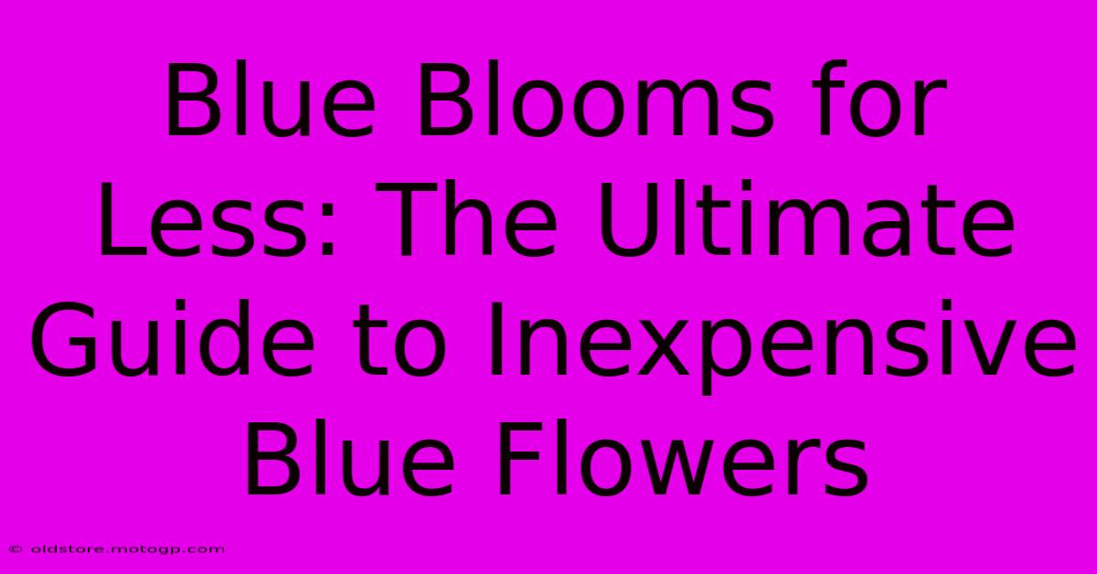 Blue Blooms For Less: The Ultimate Guide To Inexpensive Blue Flowers