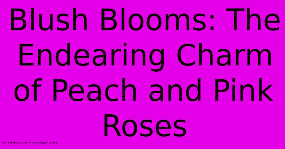 Blush Blooms: The Endearing Charm Of Peach And Pink Roses