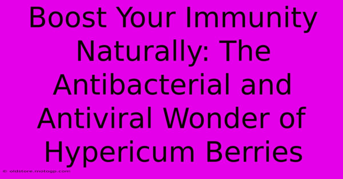 Boost Your Immunity Naturally: The Antibacterial And Antiviral Wonder Of Hypericum Berries