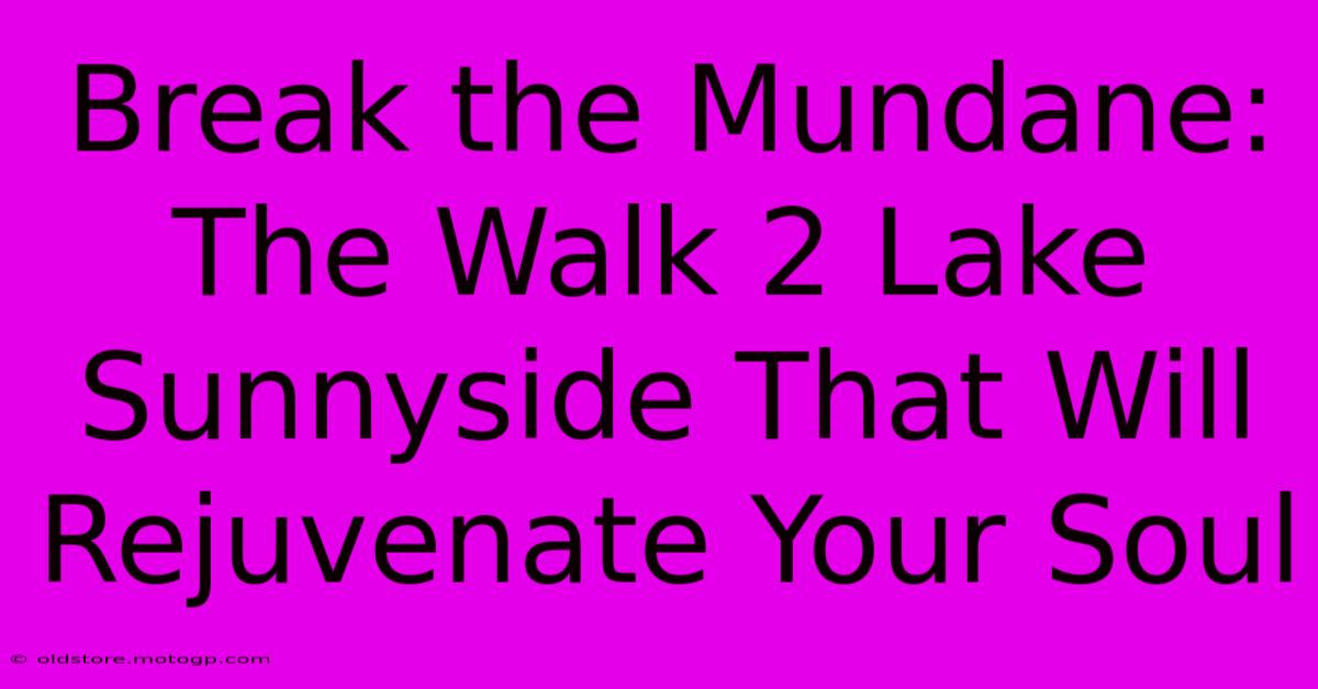 Break The Mundane: The Walk 2 Lake Sunnyside That Will Rejuvenate Your Soul