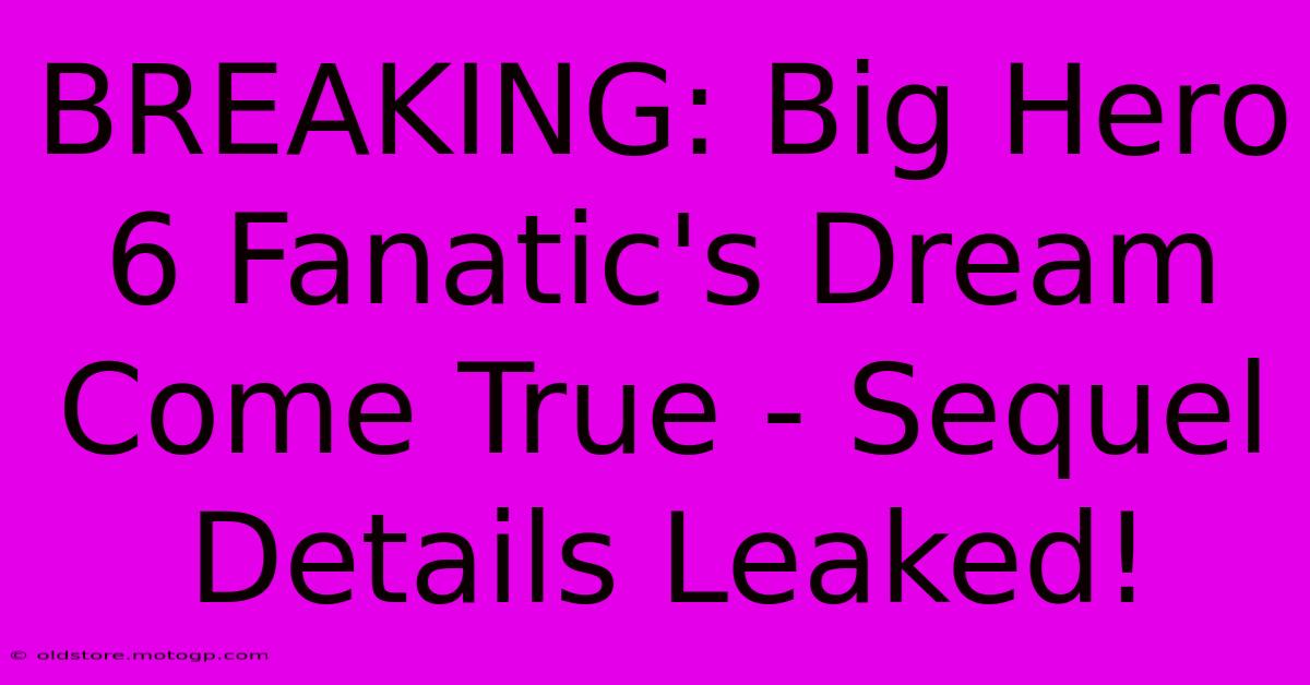 BREAKING: Big Hero 6 Fanatic's Dream Come True - Sequel Details Leaked!