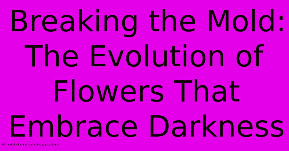 Breaking The Mold: The Evolution Of Flowers That Embrace Darkness