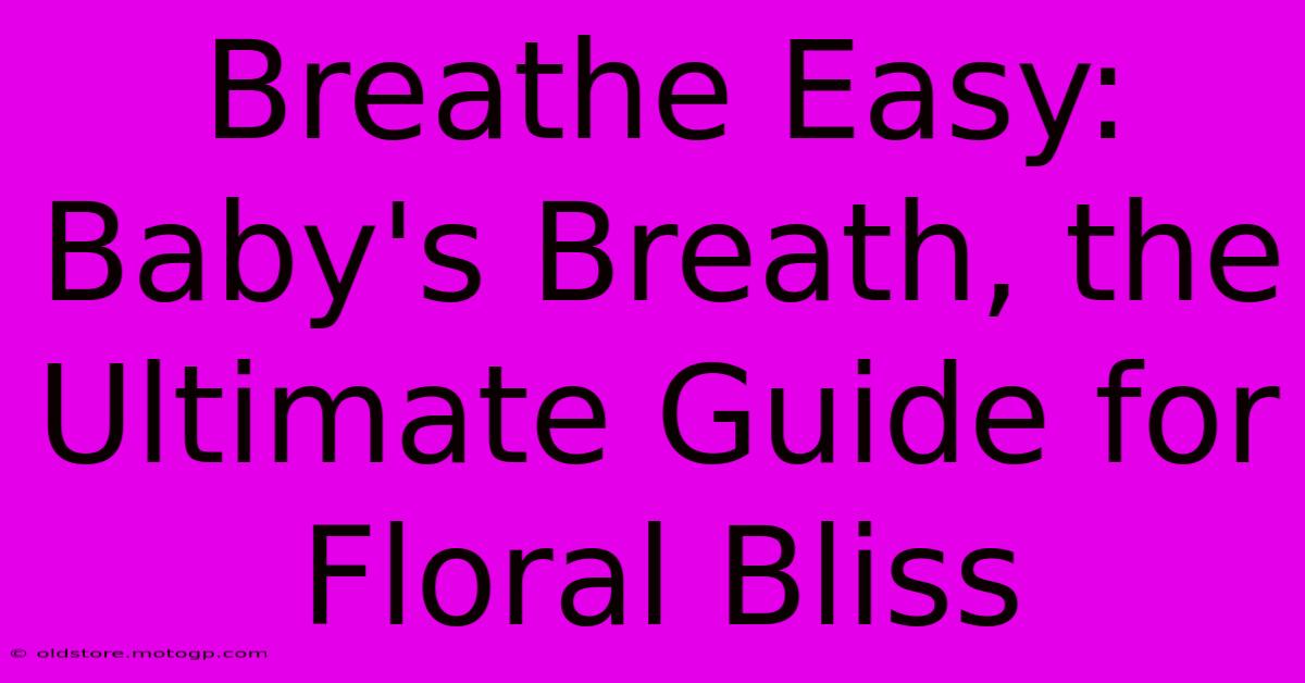 Breathe Easy: Baby's Breath, The Ultimate Guide For Floral Bliss