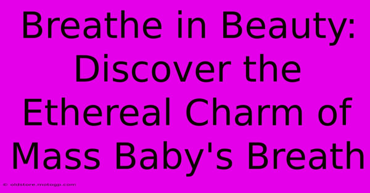 Breathe In Beauty: Discover The Ethereal Charm Of Mass Baby's Breath