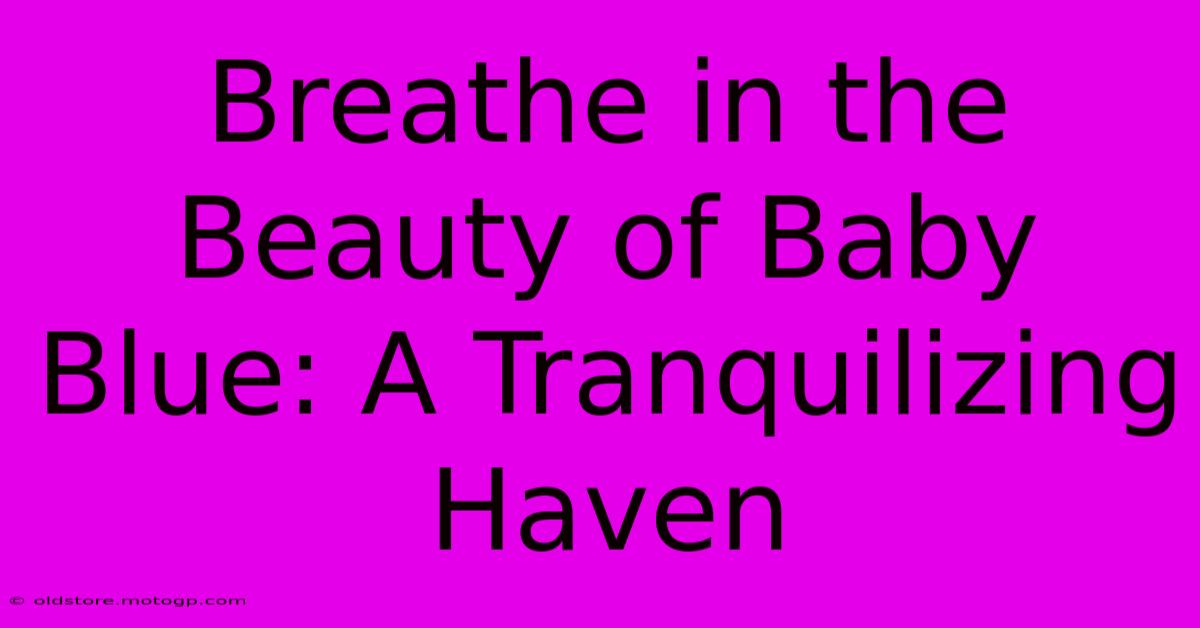 Breathe In The Beauty Of Baby Blue: A Tranquilizing Haven