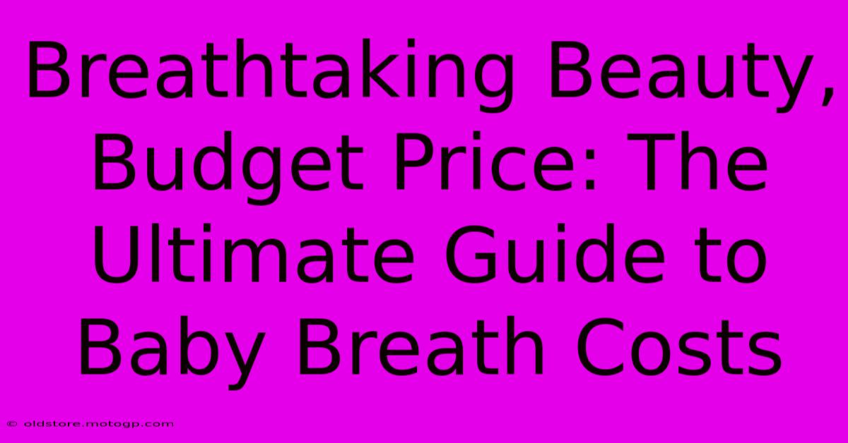 Breathtaking Beauty, Budget Price: The Ultimate Guide To Baby Breath Costs