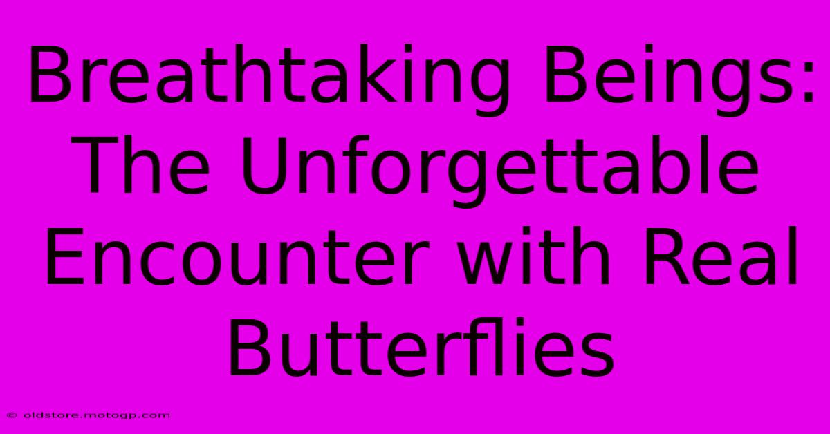 Breathtaking Beings: The Unforgettable Encounter With Real Butterflies