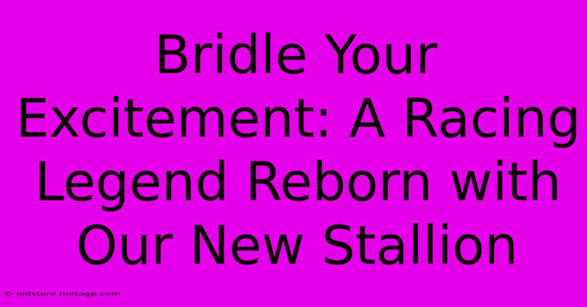 Bridle Your Excitement: A Racing Legend Reborn With Our New Stallion