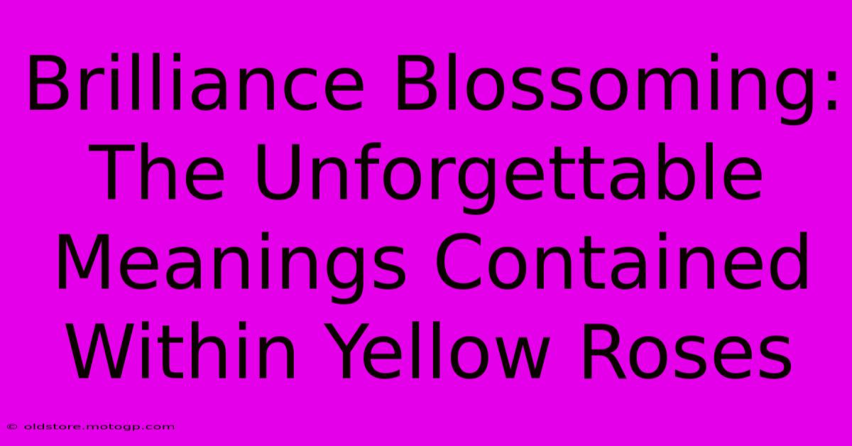 Brilliance Blossoming: The Unforgettable Meanings Contained Within Yellow Roses