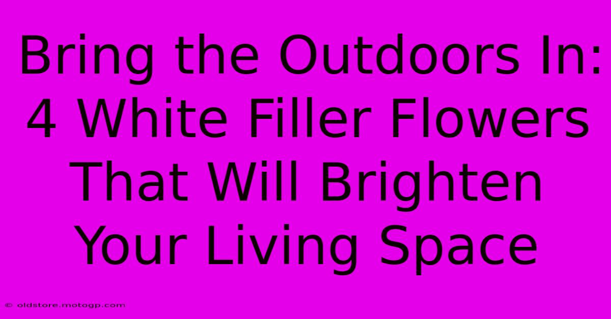 Bring The Outdoors In: 4 White Filler Flowers That Will Brighten Your Living Space