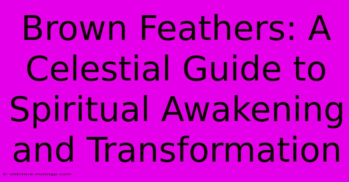 Brown Feathers: A Celestial Guide To Spiritual Awakening And Transformation