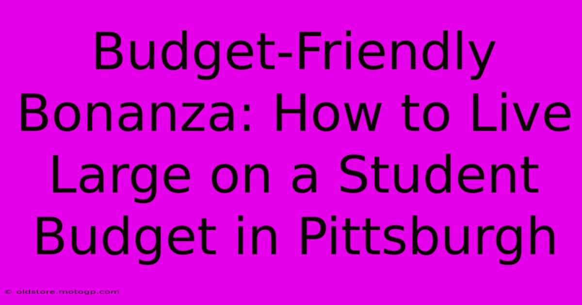 Budget-Friendly Bonanza: How To Live Large On A Student Budget In Pittsburgh