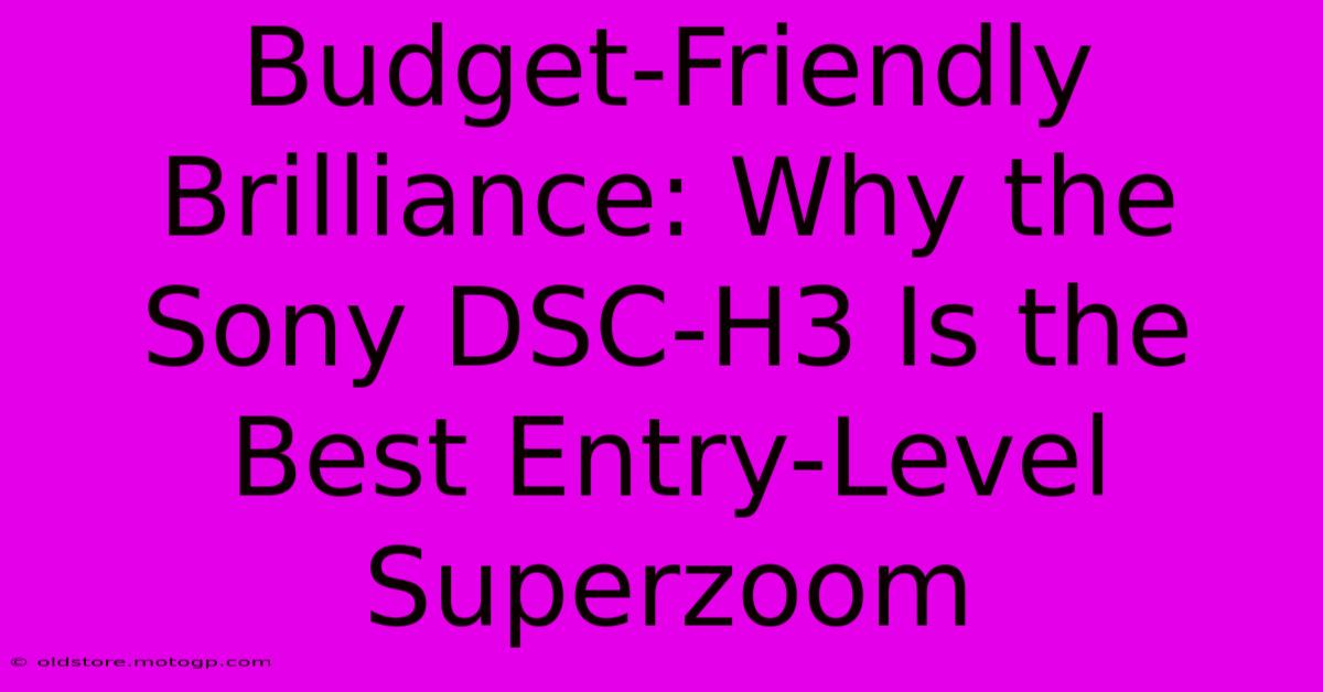 Budget-Friendly Brilliance: Why The Sony DSC-H3 Is The Best Entry-Level Superzoom