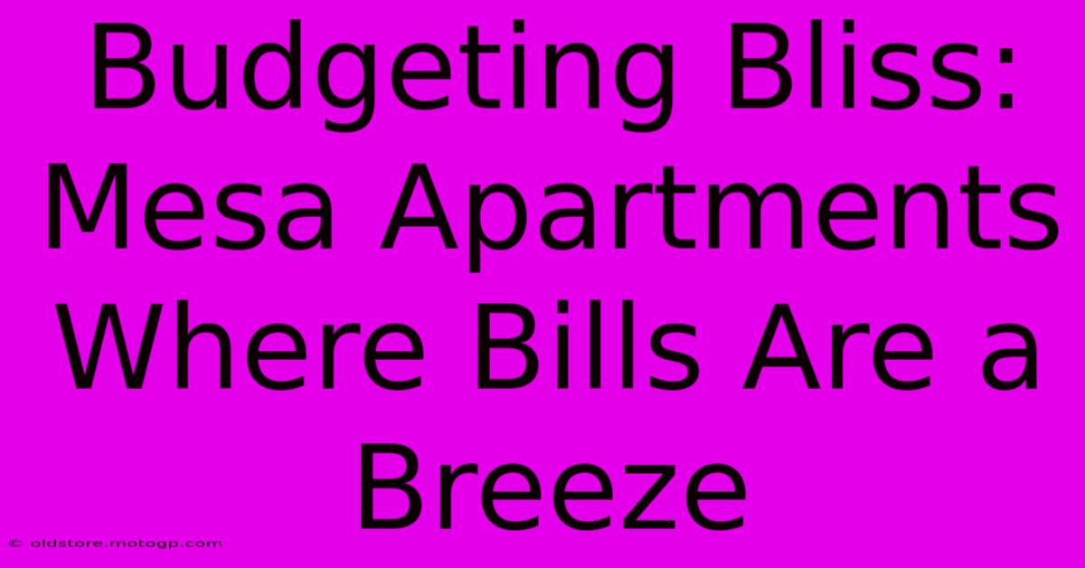 Budgeting Bliss: Mesa Apartments Where Bills Are A Breeze