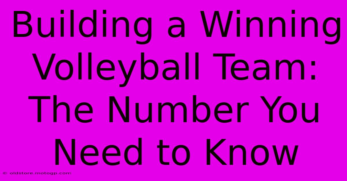 Building A Winning Volleyball Team: The Number You Need To Know