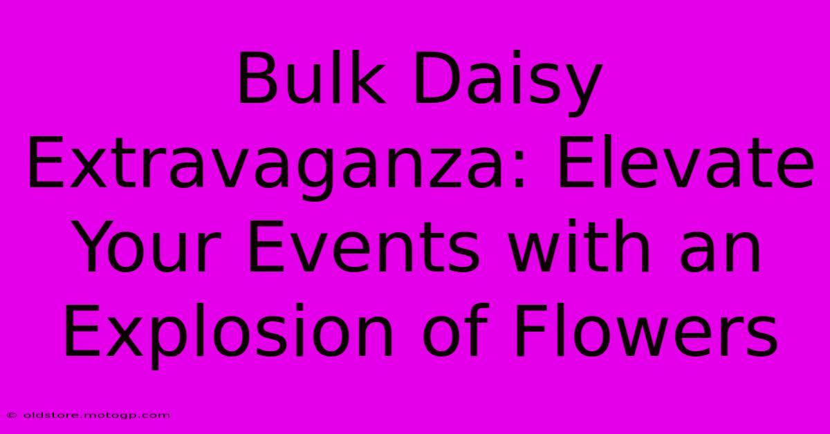 Bulk Daisy Extravaganza: Elevate Your Events With An Explosion Of Flowers