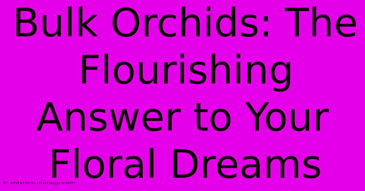 Bulk Orchids: The Flourishing Answer To Your Floral Dreams